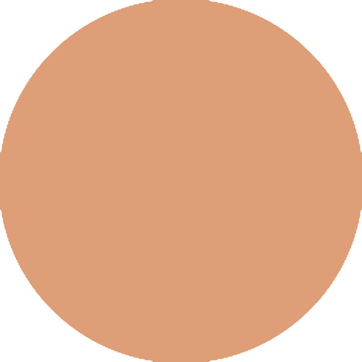 Guerlain Terracotta The Bronzing Powder Natural Sun-Kissed Finish