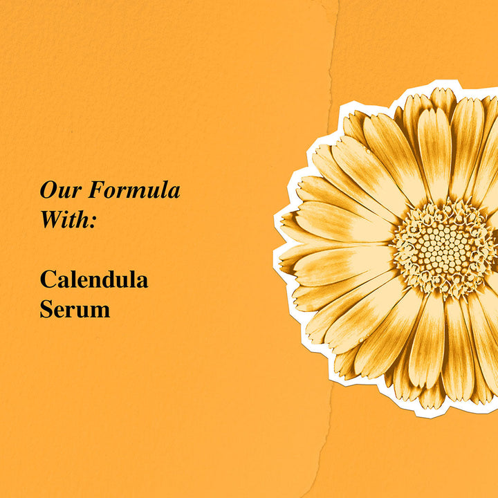 Kiehl's Calendula Serum-Infused Water Cream 50ml